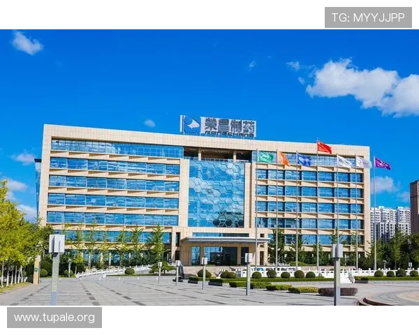 2026年k8凯发中国官网入口官方最新地址全面更新确保玩家安全顺畅登录体验 2026年k8凯发中国官网入口官方最新地址全面更新确保玩家安全顺畅登录体验