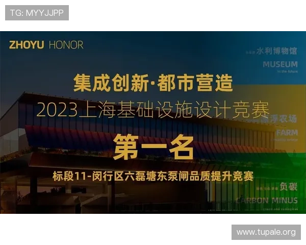 凯发旗舰厅全站登录不了的原因分析与快速解决方案详解